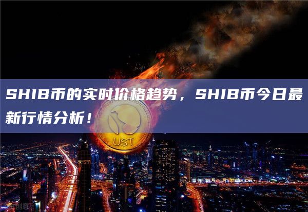 SHIB幣最新價格動態(tài)分析