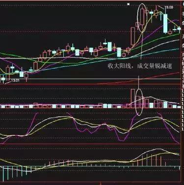 最新牛散持股一覽表，揭示市場(chǎng)主力動(dòng)向