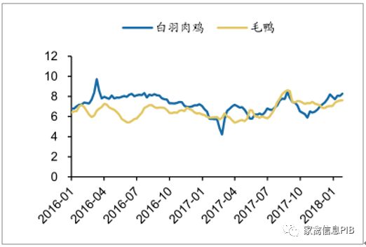 今日雞蛋價格最新行情分析