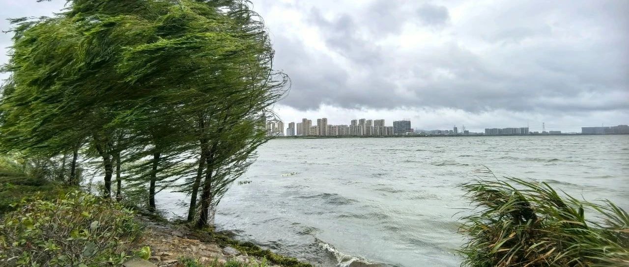 蘇州今天臺風最新消息，風雨中的城市動態(tài)與應對措施